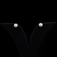 Classic Pearl Stud Earrings Flaunt Glow